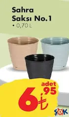 SAHRA SAKSI NO:1 0,70 L SAHRA SAKSI NO:1 0,70 L